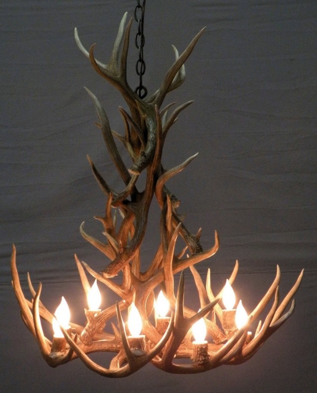 antler chandelier deer kit kits
