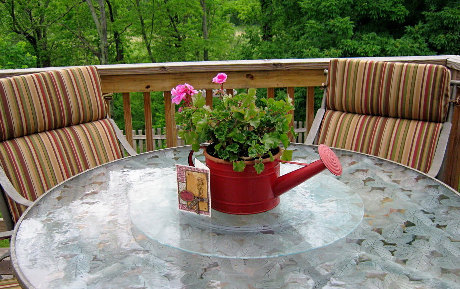 Martha Stewart Patio Cushions Kmart Home Design Ideas