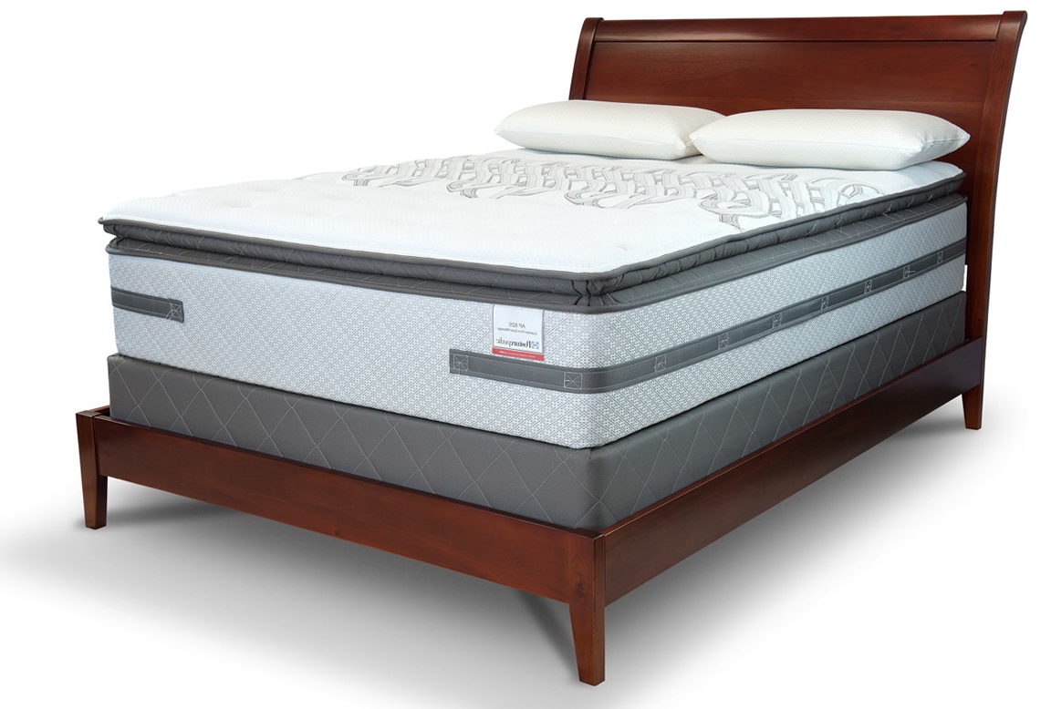 Sealy Cushion Firm Euro Pillowtop Home Design Ideas