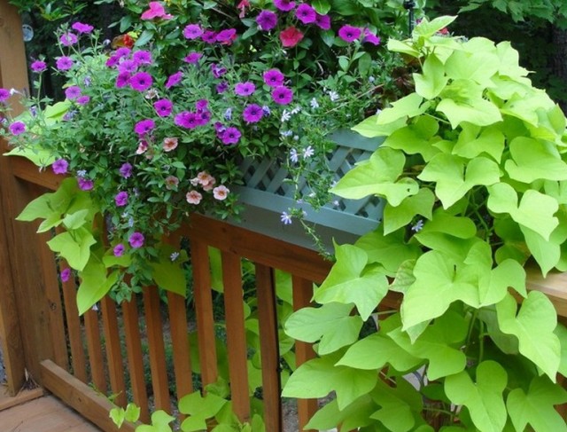Deck Railing Planters Lowes Deck Railing Planters Lowes