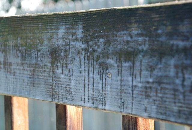 Defy Deck Stain Home Depot Defy Deck Stain Home Depot