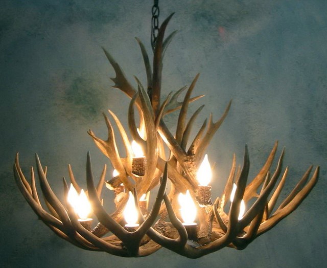 Moose Antler Chandelier For Sale Moose Antler Chandelier For Sale