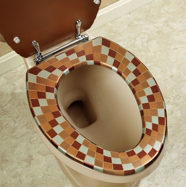Cushion Toilet Seat Elongated Cushion Toilet Seat Elongated