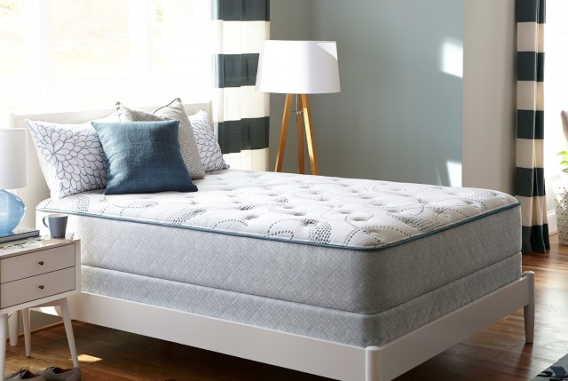 Sealy Cushion Firm Queen Mattress Sealy Cushion Firm Queen Mattress