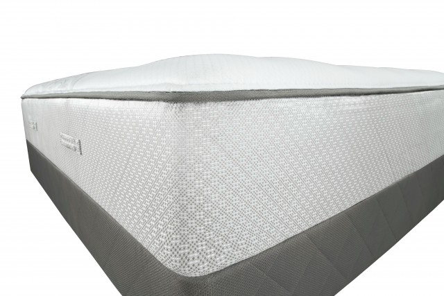 Sealy Cushion Firm Vs Plush Sealy Cushion Firm Vs Plush