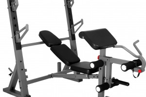 Adjustable Weight Bench With Preacher Curl