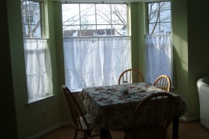 Cafe Curtains For Kitchen Bay Window