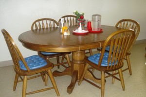 Dining Room Seat Cushions