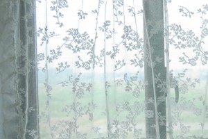 Lace Shower Curtains Sheer