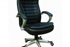 Lumbar Support Cushion For Office Chair