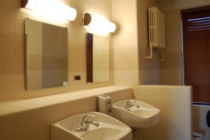 Traditional Bathroom Mirrors With Lights
